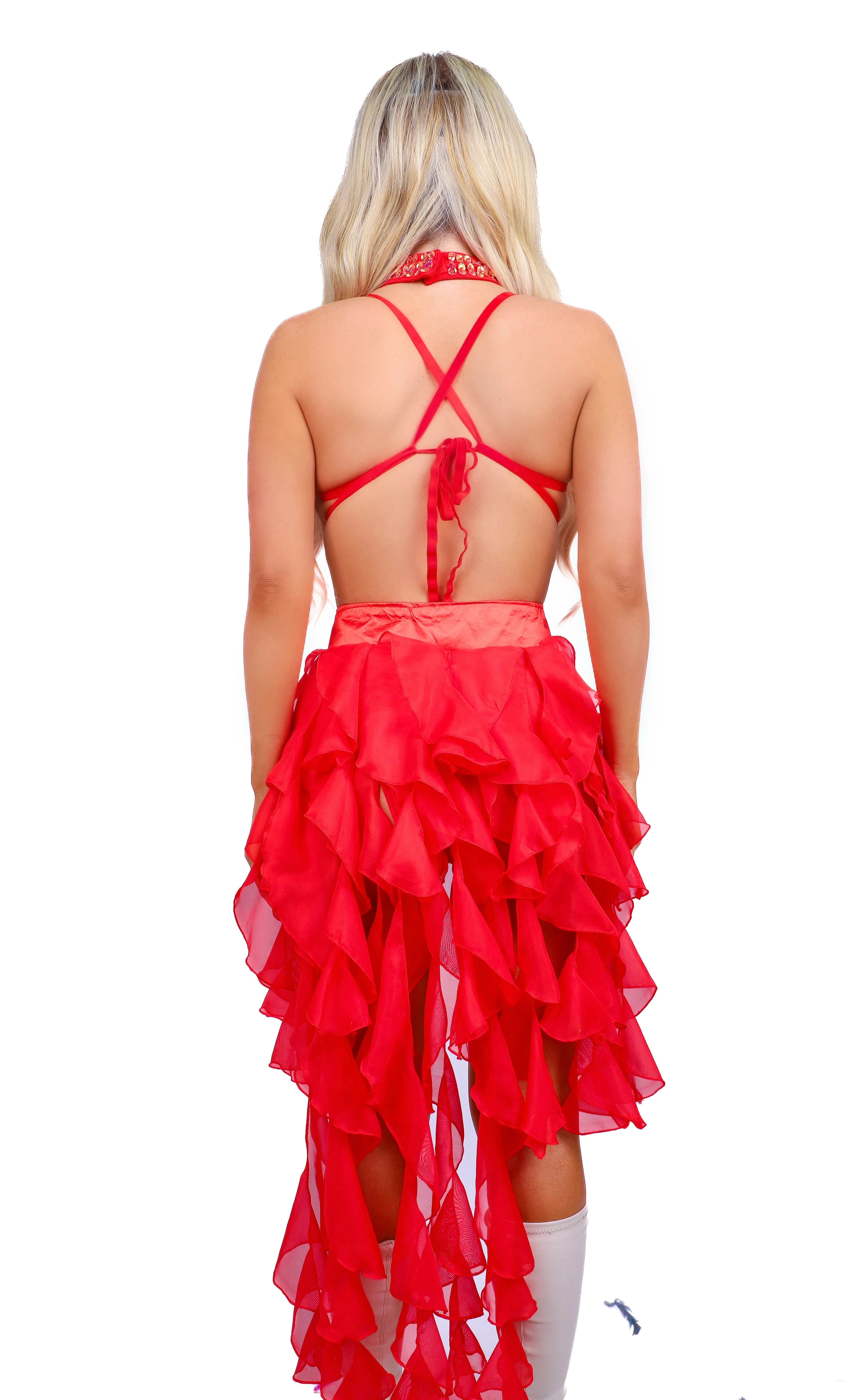 FULL OUTFIT- Ladybug Empress Princess (4 pcs) - Image 3